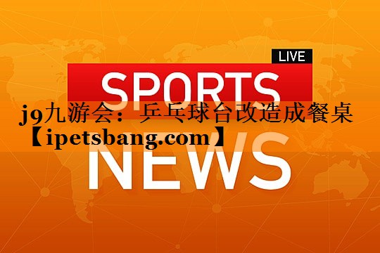 乒乓球台改造成餐桌 乒乓球台改造成餐桌