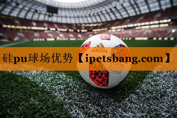 硅pu球场优势 硅pu球场优势