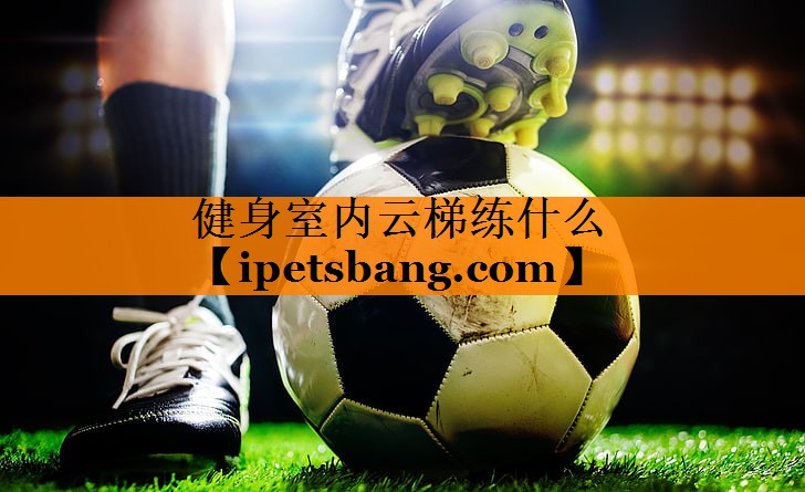 健身室内云梯练什么 健身室内云梯练什么