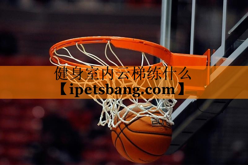 健身室内云梯练什么 健身室内云梯练什么