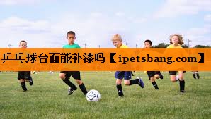 乒乓球台面能补漆吗 乒乓球台面能补漆吗