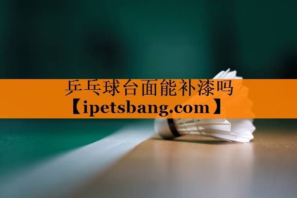 乒乓球台面能补漆吗 乒乓球台面能补漆吗