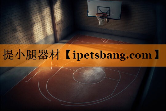 提小腿器材 提小腿器材