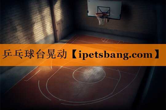 乒乓球台晃动 乒乓球台晃动