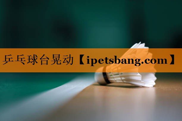 乒乓球台晃动 乒乓球台晃动