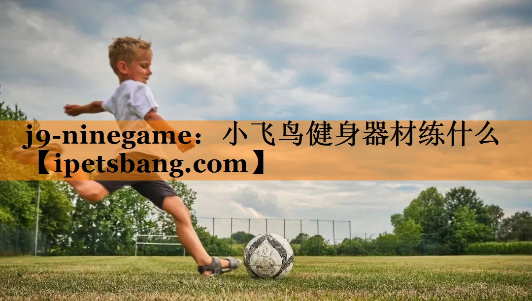 小飞鸟健身器材练什么 小飞鸟健身器材练什么