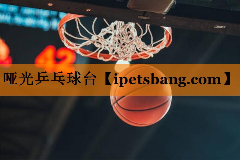 哑光乒乓球台 哑光乒乓球台