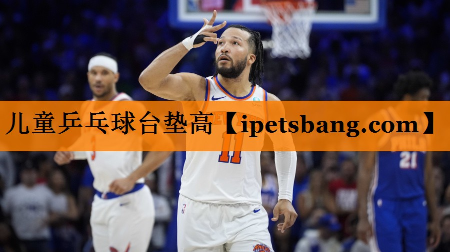 儿童乒乓球台垫高 儿童乒乓球台垫高