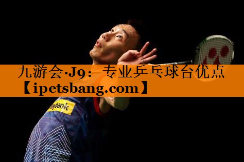 专业乒乓球台优点 专业乒乓球台优点