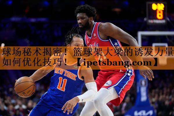 球场秘术揭密!篮球架大梁的诱发力量如何优化技巧! 球场秘术揭密!篮球架大梁的诱发力量如何优化技巧!