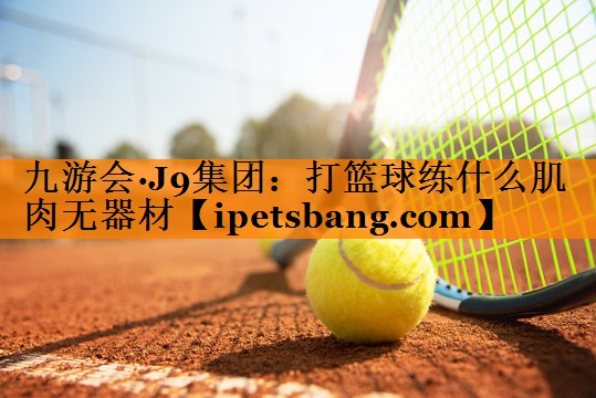 打篮球练什么肌肉无器材 打篮球练什么肌肉无器材