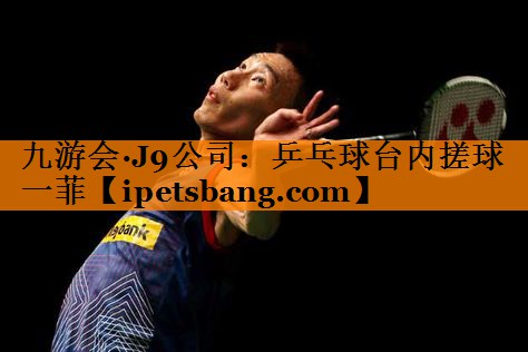 乒乓球台内搓球一菲 乒乓球台内搓球一菲
