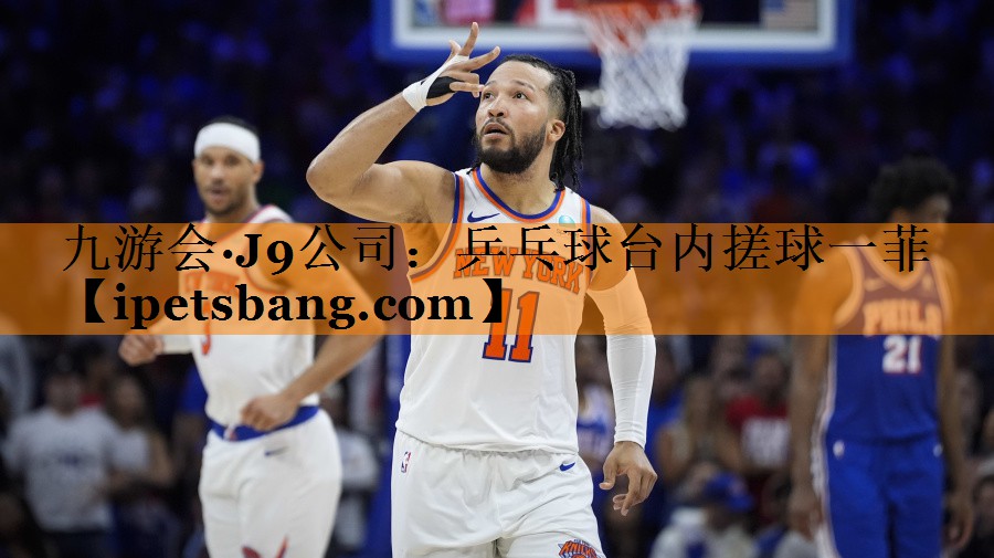 乒乓球台内搓球一菲 乒乓球台内搓球一菲