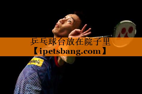 乒乓球台放在院子里 乒乓球台放在院子里