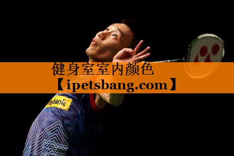 健身室室内颜色 健身室室内颜色