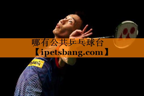哪有公共乒乓球台 哪有公共乒乓球台