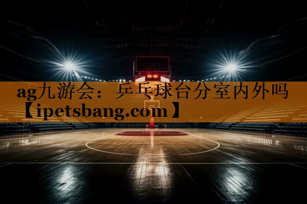 乒乓球台分室内外吗