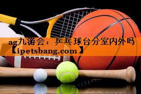 乒乓球台分室内外吗