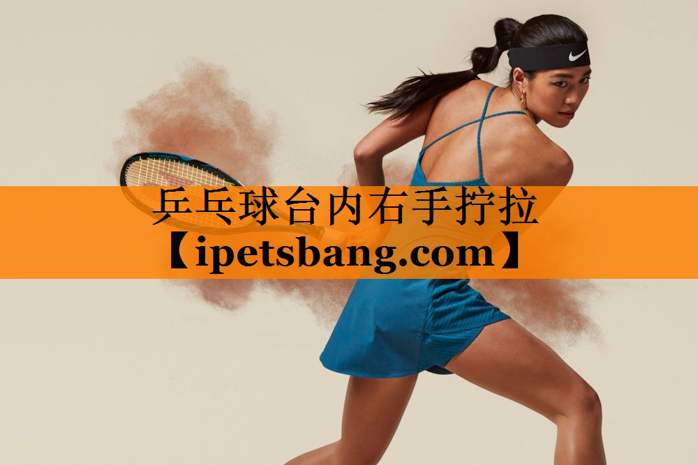乒乓球台内右手拧拉 乒乓球台内右手拧拉
