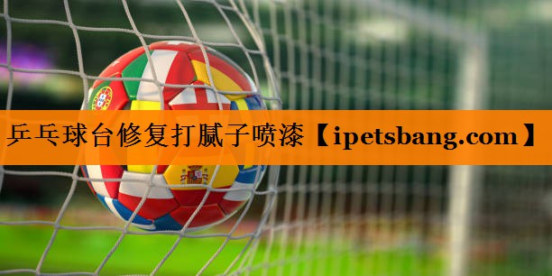 乒乓球台修复打腻子喷漆 乒乓球台修复打腻子喷漆