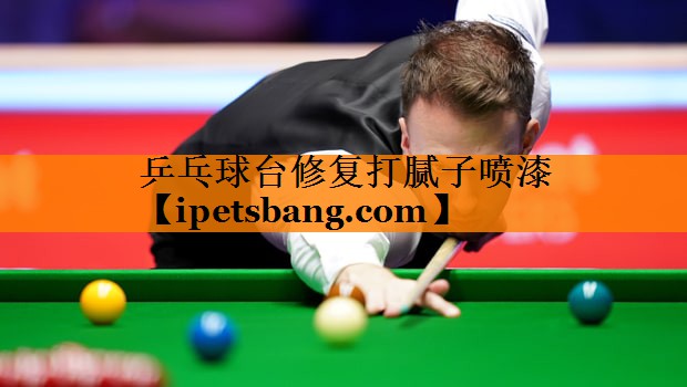 乒乓球台修复打腻子喷漆 乒乓球台修复打腻子喷漆
