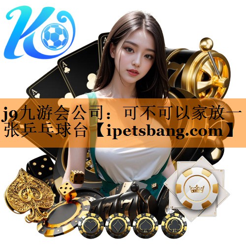 可不可以家放一张乒乓球台