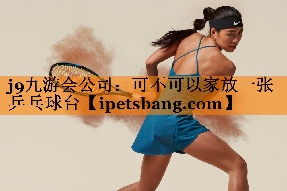 可不可以家放一张乒乓球台