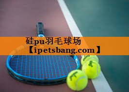 硅pu羽毛球场