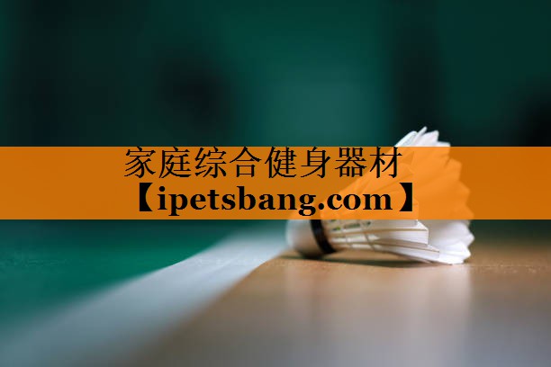 家庭综合健身器材 家庭综合健身器材