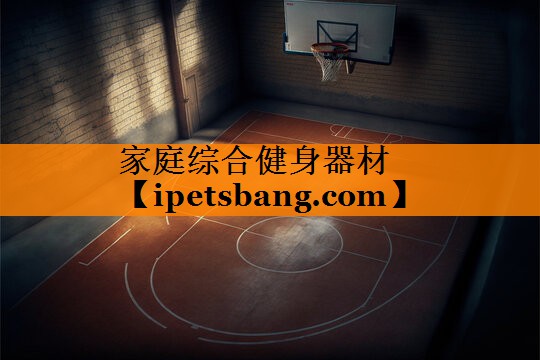 家庭综合健身器材 家庭综合健身器材