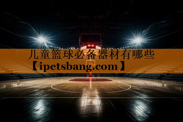 儿童篮球必备器材有哪些