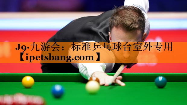 标准乒乓球台室外专用 标准乒乓球台室外专用