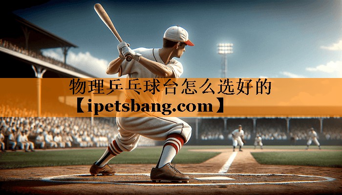 物理乒乓球台怎么选好的 物理乒乓球台怎么选好的