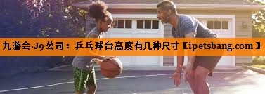 乒乓球台高度有几种尺寸 乒乓球台高度有几种尺寸