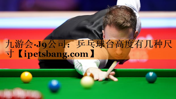 乒乓球台高度有几种尺寸 乒乓球台高度有几种尺寸